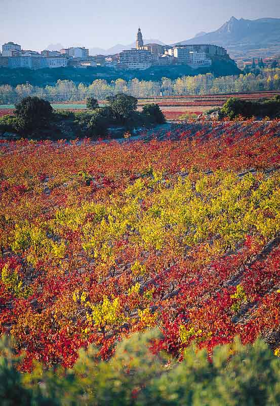 LA RIOJA. Haro, Luces de la Modernidad