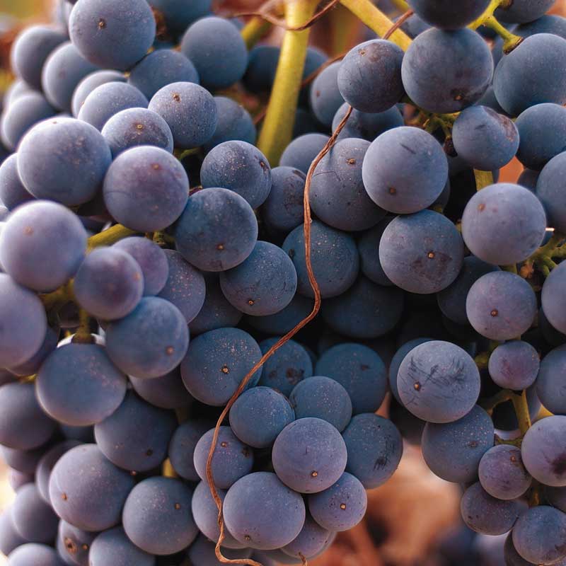LA RIOJA. Haro, Luces de la Modernidad