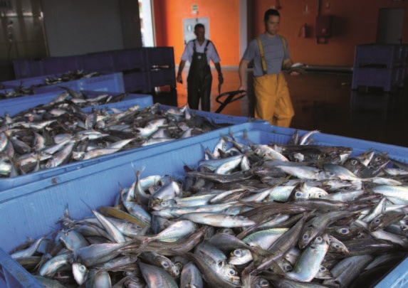 Cantabria. Anchoas en Santoña. Revista Viajeros