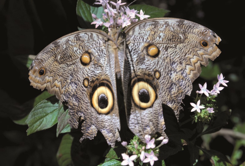 Colombia. Medellín. Jardín Botánico. Revista Viajeros