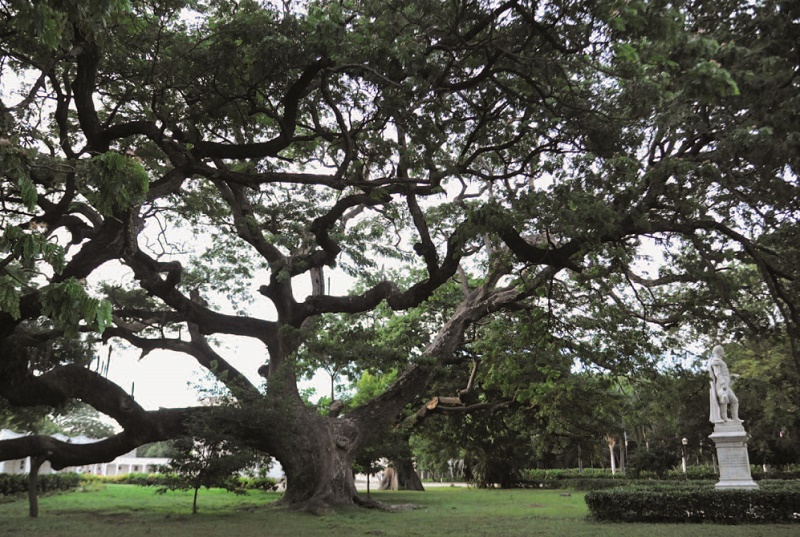 Colombia. Santa Marta. Quinta de San Alejandrino. Revista Viajeros