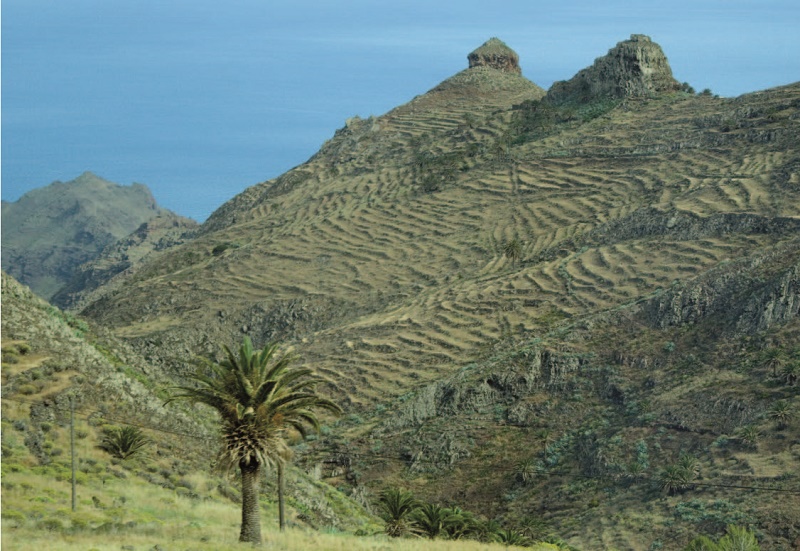 Gomera. Cultivo Vid. Revista Viajeros