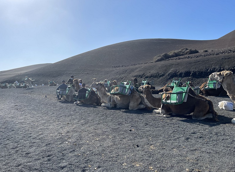 Lanzarote_02_Timanfaya_Rev.Viajeros