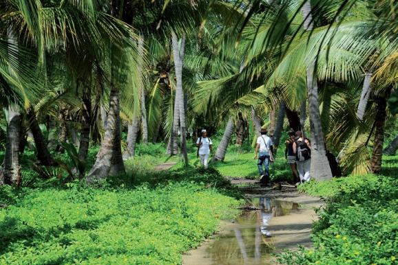 Colombia. Santa Marta. Parque Nacional Tayrona. Revista Viajeros