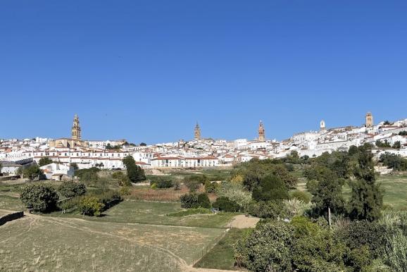 Jerez_de_los_Caballeros_17_Vista_General