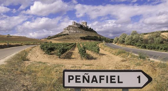 De majadas y majuelos está hecha la Ribera del Duero
