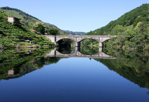 RIBEIRA SACRA. Donde Galicia se vuelve mística