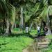 Colombia. Santa Marta. Parque Nacional Tayrona. Revista Viajeros