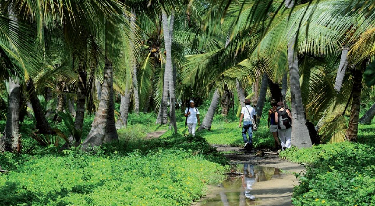 Colombia. Santa Marta. Parque Nacional Tayrona. Revista Viajeros