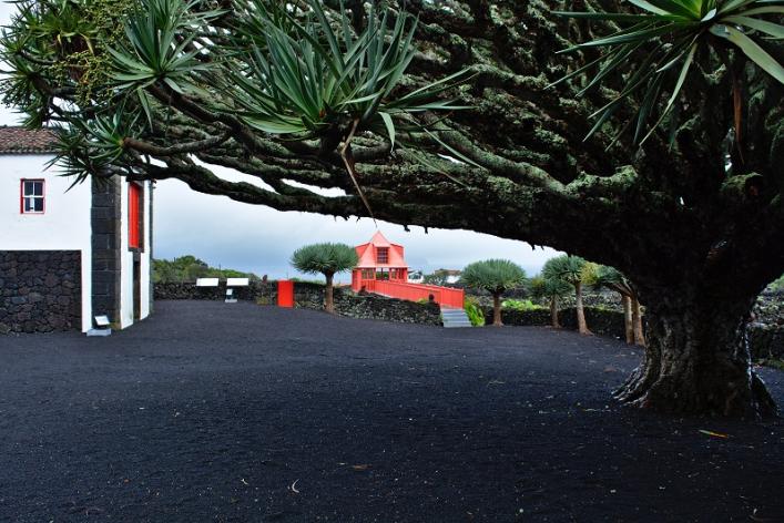 Azores. Drago Museo do Vinho da Ilha do Pico. RevistaViajeros