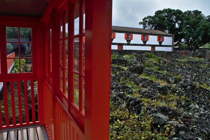 Azores. Museo do Vinho da Ilha do Pico. Viñedo. RevistaViajeros