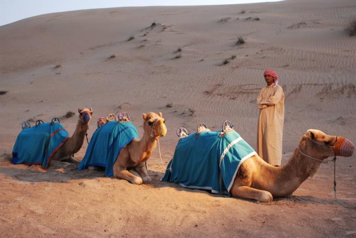 Dubai. Paseos por el Desierto. Revista Viajeros
