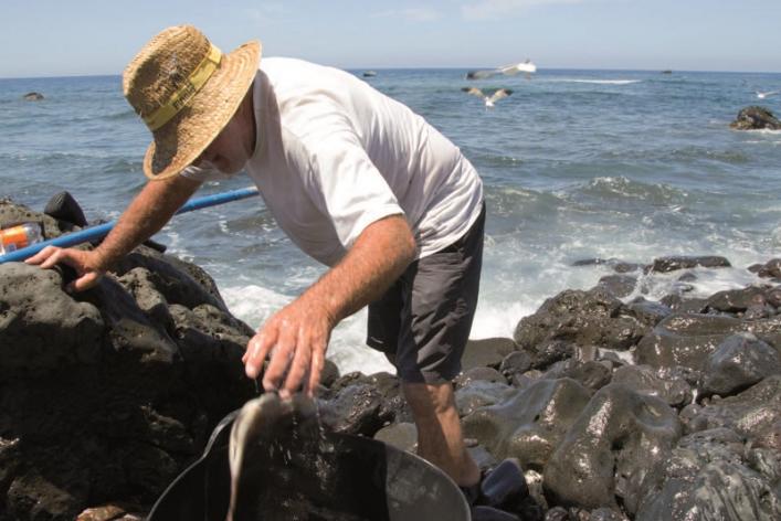 Gomera. Pescando Viejas. Revista Viajeros